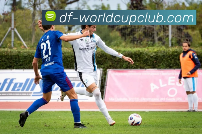 世界杯投注平台生态图